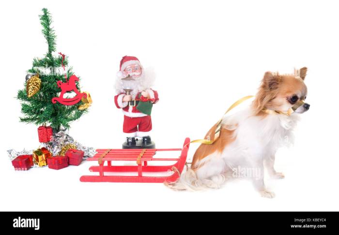 White dog christmas decoration